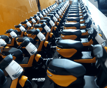 Pilot Batch Production